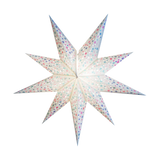 White Sequinned